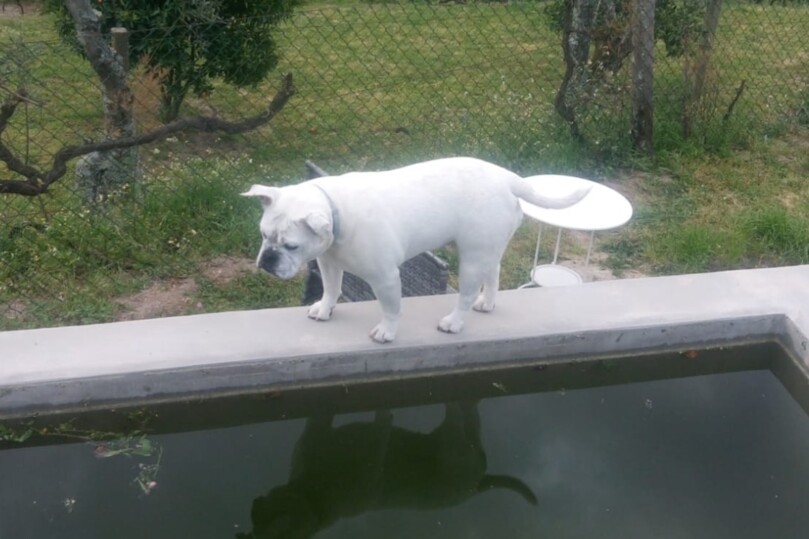 Seeblickbulls Bild der Woche 2025