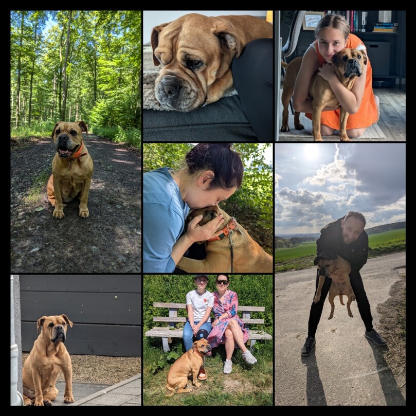 Seeblickbulls Bild der Woche 2025