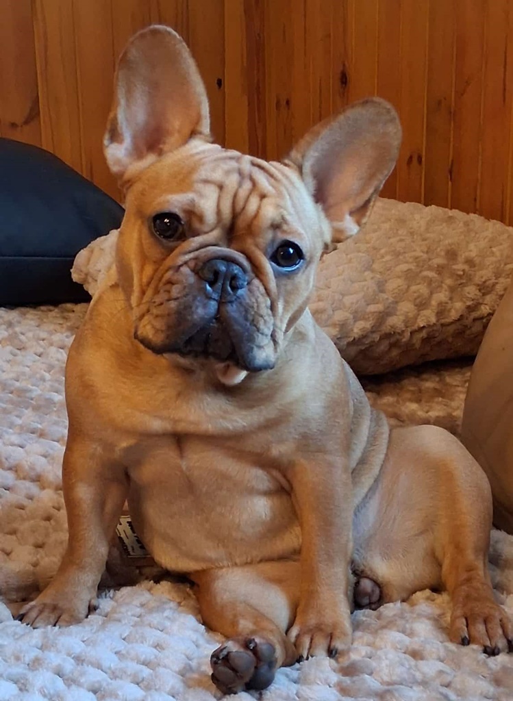 Seeblickbulls Bild der Woche 2025