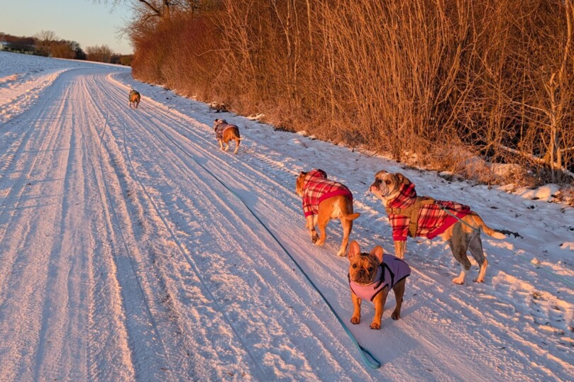 Seeblickbulls Bild der Woche 2025