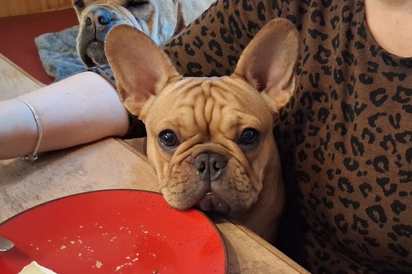 Seeblickbulls Bild der Woche 2025